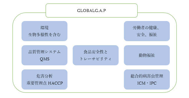GLOBALG.A.Pの図
