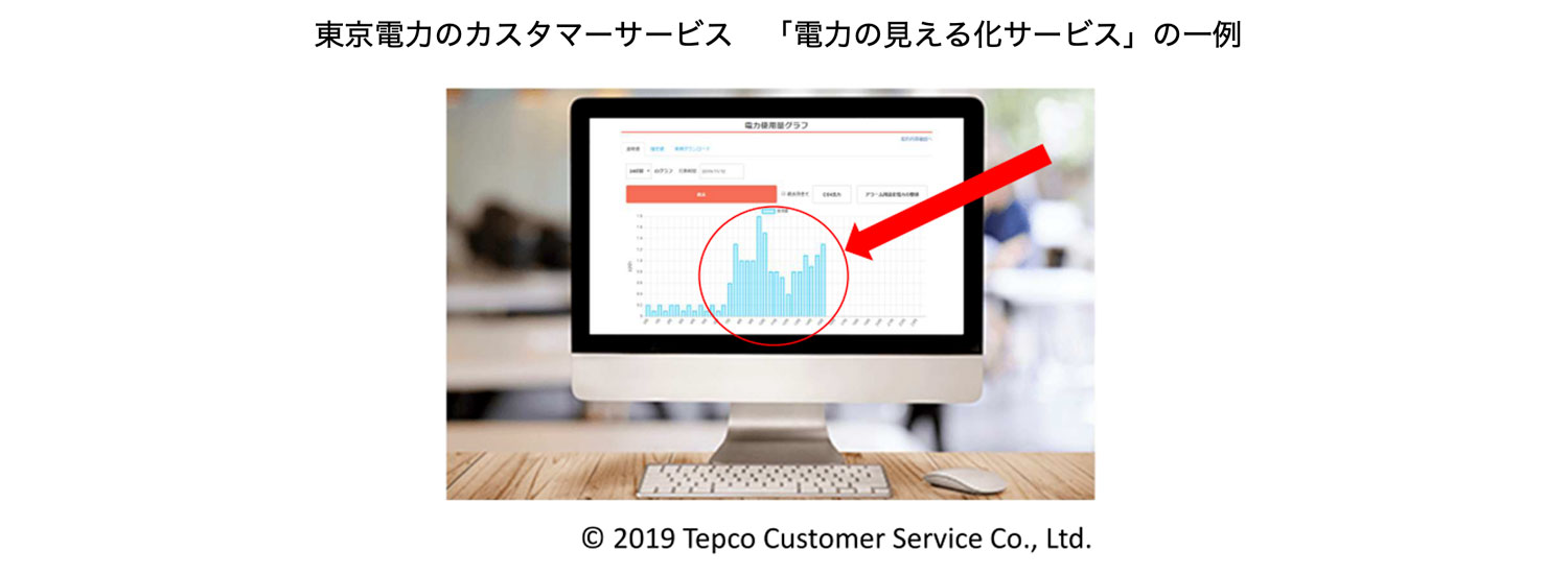 東京電力のカスタマーサービス「電力の見える化サービス」の一例