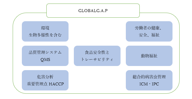 GLOBALG.A.Pの図