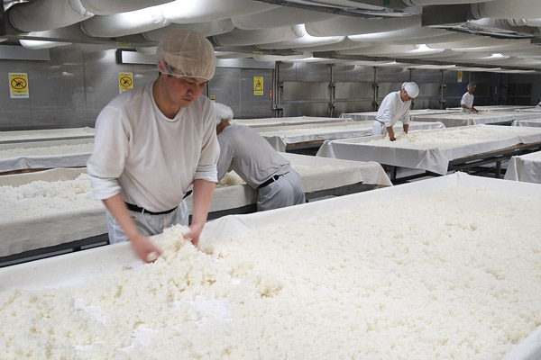 本社蔵での仕込みのようす。高温の室内での作業だ