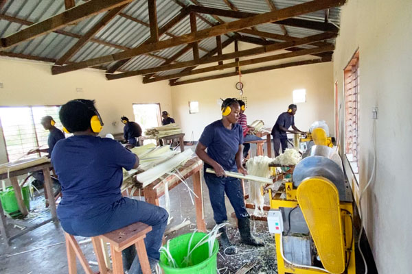 バナナの茎から繊維を取り出す作業。ザンビアに新たな雇用を創出している