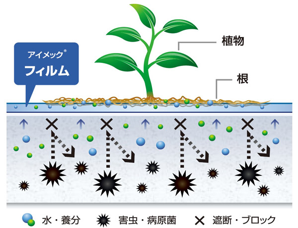 ハイドロゲルでできた薄いフィルムの上で植物が育つ フィルムは水と養分だけを通し、バクテリアや細菌は防ぐ
