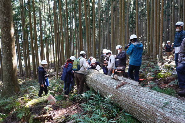 吉野の山・伐採ツアー