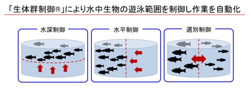 水中生物を対象とした生体群制御®の概要
